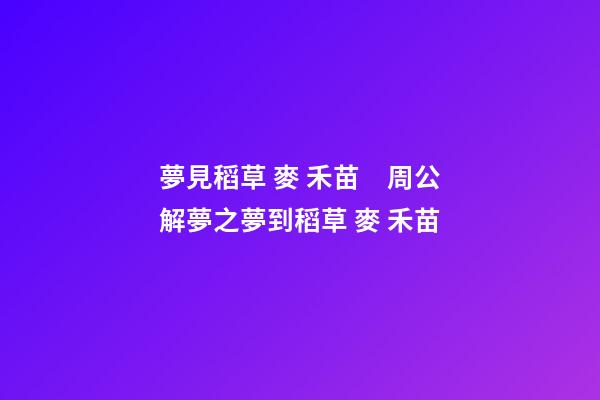 夢見稻草 麥 禾苗　周公解夢之夢到稻草 麥 禾苗
